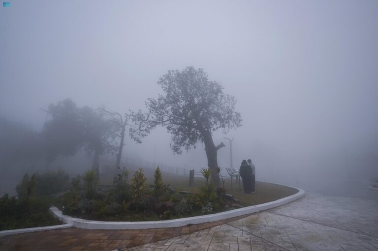 كثيف-على-عسير.-ضباب-متباين-الشدة-على-أجزاء-من-9-مناطق