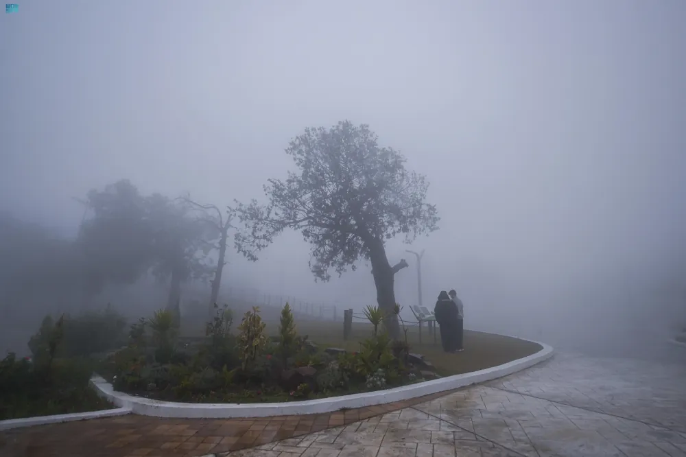 كثيف-على-عسير.-ضباب-متباين-الشدة-على-أجزاء-من-9-مناطق