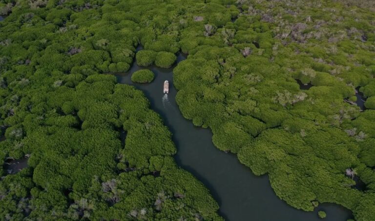 غابات-القندل.-وجهة-سياحية-تستحق-التجربة-في-الإجازة-الدراسية