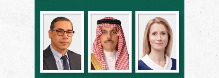 وزير-الخارجية-يبحث-المستجدات-مع-نظيره-القبرصي-وممثلة-الاتحاد-الأوروبي