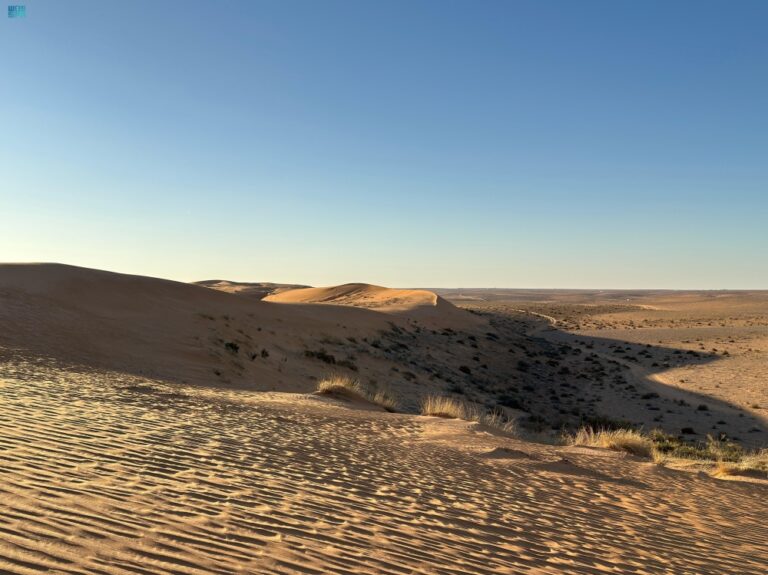 شاهد|-لوحات-طبيعية.-تكوينات-رملية-ساحرة-في-نفود-“الدغم”-جنوب-لينة