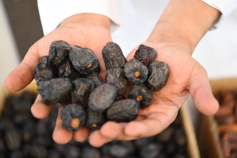 “النخيل-والتمور”:-أكثر-من-1500-متجر-حول-العالم-تستعرض-المنتجات-السعودية