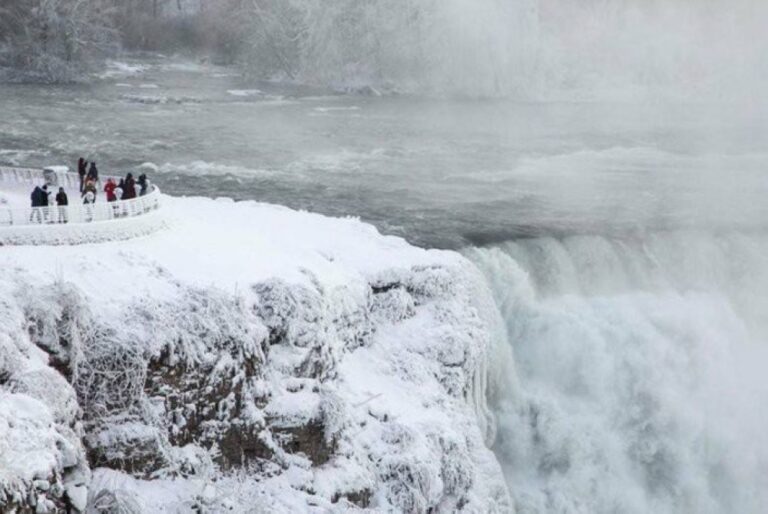 جزء-صغير-من-فلوريدا-المشمسة-يكتسي-بالثلج-للعام-الثاني-على-التوالي