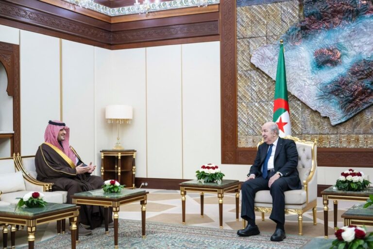 بناءً-على-توجيه-ولي-العهد.-وزير-الداخلية-يبحث-مع-رئيس-الجزائر-التعاون-الأمني