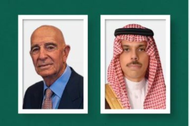 وزير-الخارجية-يبحث-مستجدات-الأوضاع-في-سوريا-مع-“المبعوث-الأمريكي”