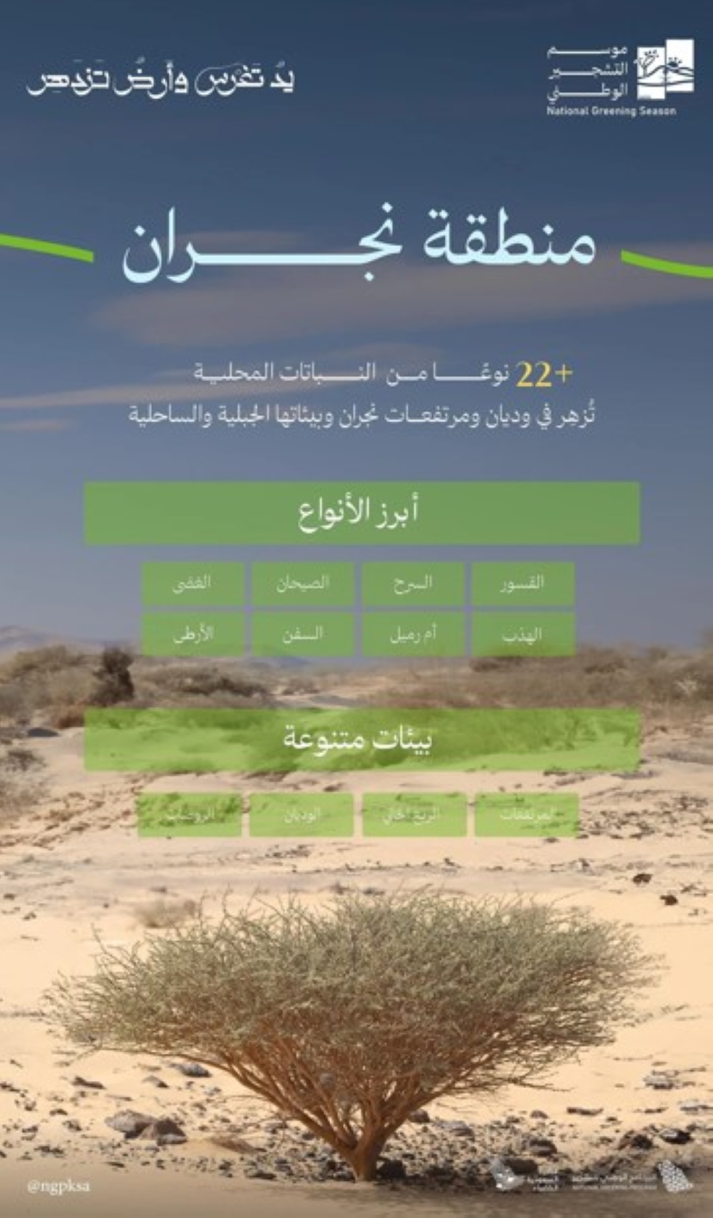 بينها-«السرح»-و«الصيحان».-22-نوعًا-محليًا-لغطاء-نجران-الأخضر