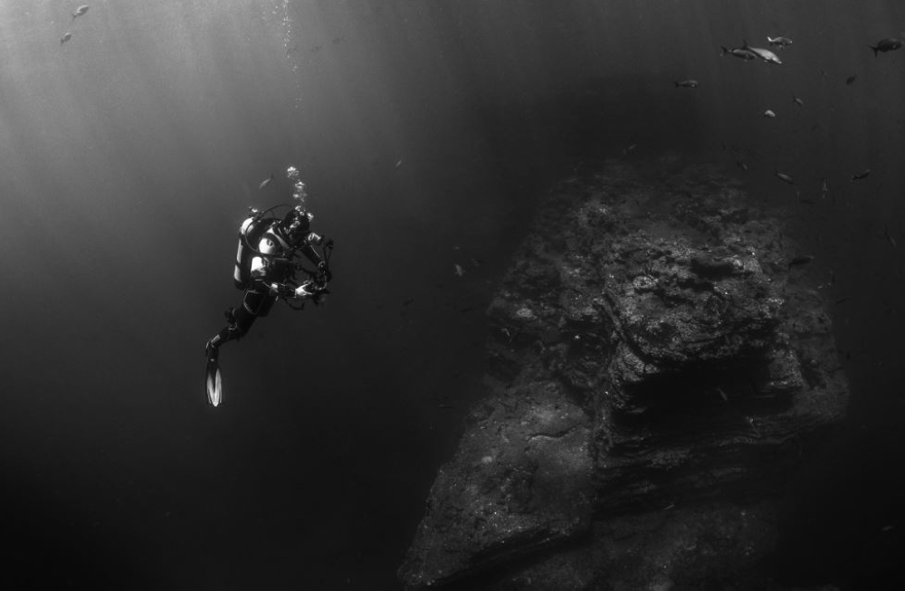 “أليسا”-و”كايا”.-روبوتان-لدراسة-“الأكسجين-الداكن”-في-قاع-المحيط