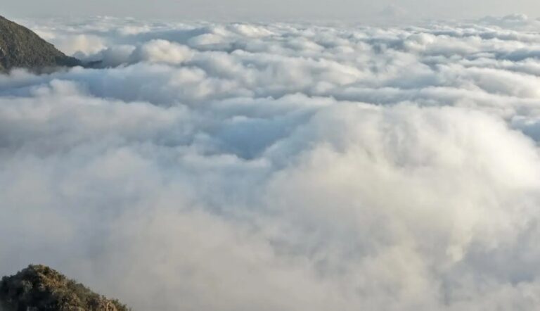روعة-الطبيعة-السعودية.-السحب-تشكل-مشهدًا-أخّاذًا-فوق-مرتفعات-أبها
