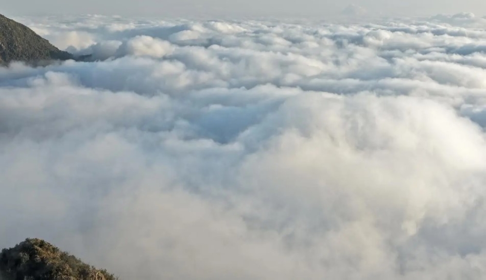 روعة-الطبيعة-السعودية.-السحب-تشكل-مشهدًا-أخّاذًا-فوق-مرتفعات-أبها