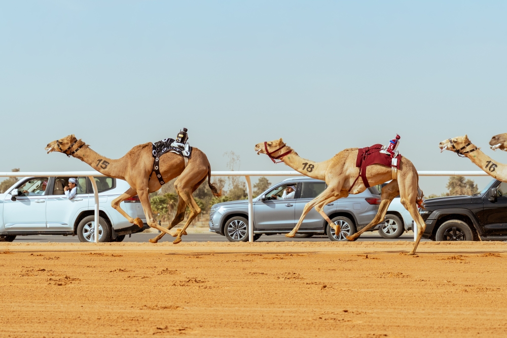 تتويج-أبطال-كؤوس-مهرجان-خادم-الحرمين-الشريفين-لفئة-“الجذاع”-والجوائز-5.5-ملايين-ريال