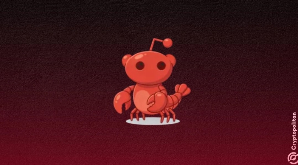 “دون-بشر”.-moltbook-شبكة-اجتماعية-للذكاء-الاصطناعي-تثير-مخاوف-خطيرة