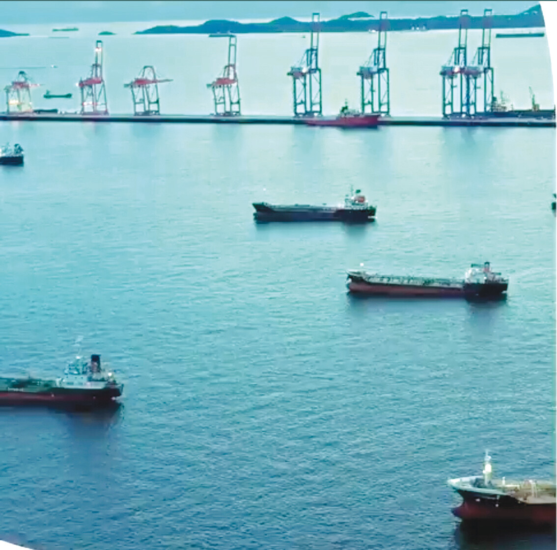 الذهب-انخفض-ألف-دولار-عن-أعلى-مستوياته