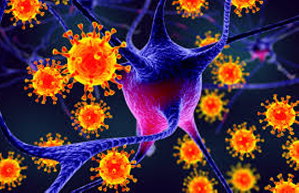 إصابات-بالهند-وبنجلاديش.-الصحة-العالمية:-خطر-تفشي-فيروس-نيباه-منخفض