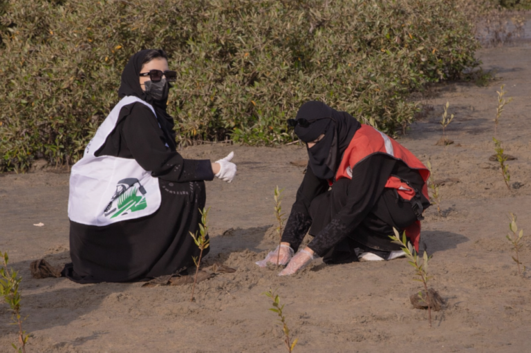 «السعودية-الخضراء».-8-اتفاقيات-عقارية-لمحاربة-التصحر-بالتشجير