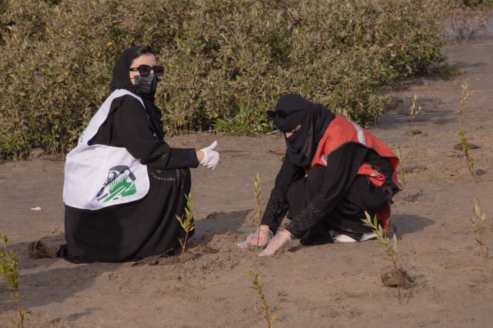 «السعودية-الخضراء».-8-اتفاقيات-عقارية-لمحاربة-التصحر-بالتشجير