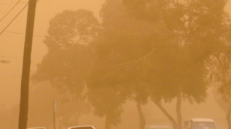 حالة-الطقس.-رياح-نشطة-مثيرة-للأتربة-والغبار-على-أجزاء-من-9-مناطق