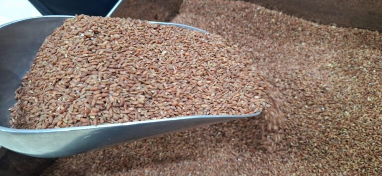 الأحساء.-الأكلات-الشعبية-تتصدر-المشهد-الشتوي-وتنعش-السياحة