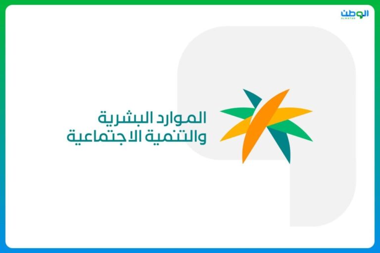 إلزام-القطاع-الخاص-بتوفير-فرص-تدريبية-للخريجين-والباحثين-عن-عمل