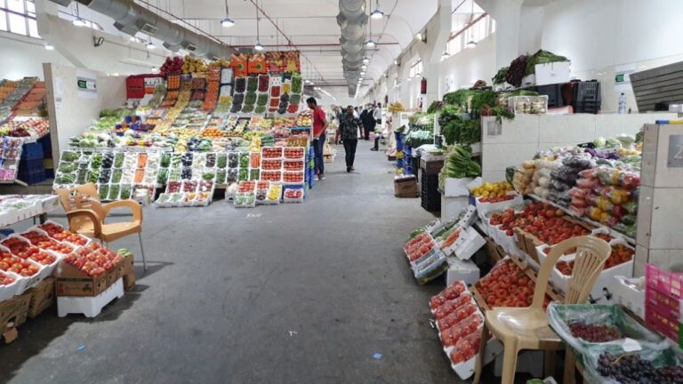 عاجل:-أسعار-مستقرة-وجودة-عالية.-تقنيات-زراعية-حديثة-تضخ-عشرات-الأصناف-المحلية-بأسواق-رمضان