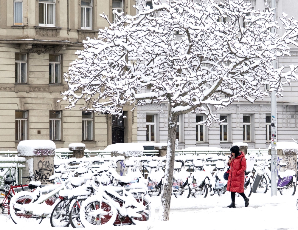 النمسا في قبضة الثلوج: حصيلة قاسية وتعطيل شامل للحياة. 12 صور|-عاصفة-ثلجية-تضرب-النمسا.-مقتل-5-أشخاص-وتعطل-حركة-النقل
