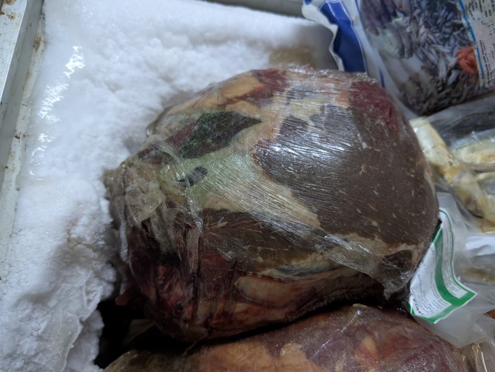 صور| إتلاف 1,100 كجم لحوم فاسدة وضبط أكثر من 4 آلاف عبوة تالفة شرق جدة 1 صور|-إتلاف-1,100-كجم-لحوم-فاسدة-وضبط-أكثر-من-4-آلاف-عبوة-تالفة-شرق-جدة