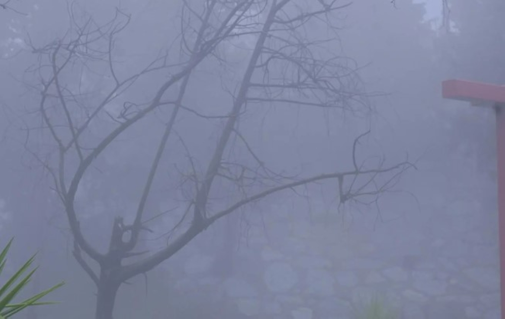 صور | الباحة تحت الضباب والأمطار.. مشاهد طبيعية ساحرة تجذب الزوار 11 صور-|-الباحة-تحت-الضباب-والأمطار.-مشاهد-طبيعية-ساحرة-تجذب-الزوار