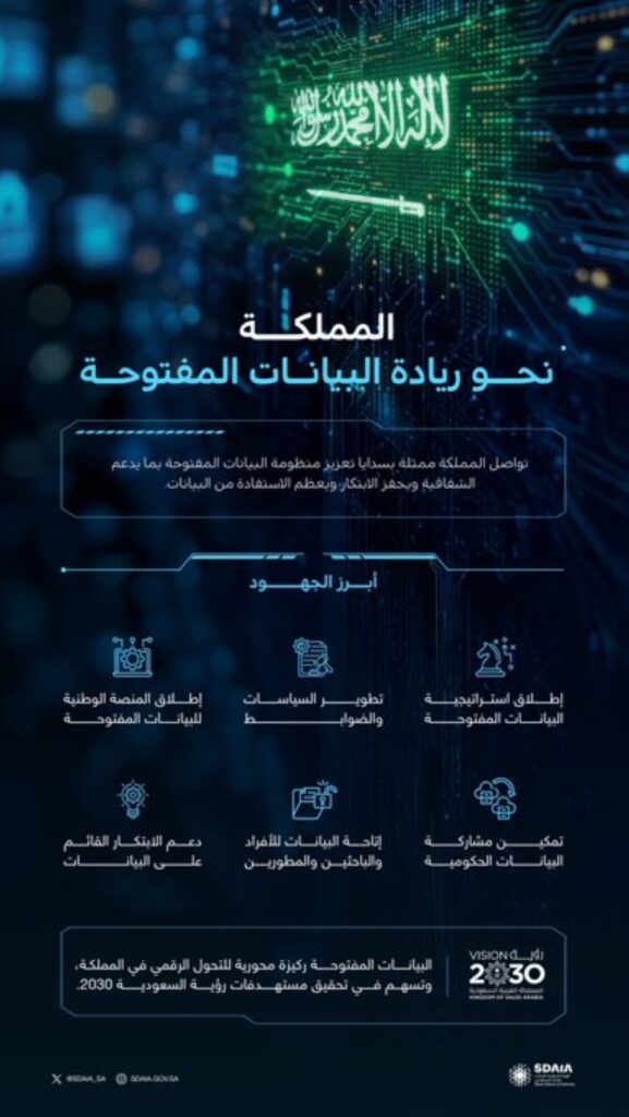 عبر 6 مجالات.. أبرز جهود المملكة لتحقيق الريادة في البيانات المفتوحة 14 عبر-6-مجالات.-أبرز-جهود-المملكة-لتحقيق-الريادة-في-البيانات-المفتوحة