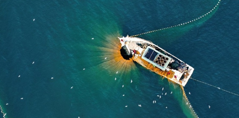 عقوبات تصل إلى 20 مليون ريال لحماية البيئة البحرية 57 عقوبات-تصل-إلى-20-مليون-ريال-لحماية-البيئة-البحرية