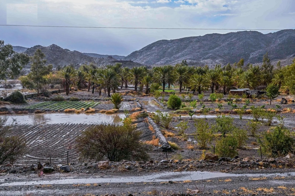 الأمطار تنعش أجواء الباحة وتعزز فرحة سكانها بالعيد 35 الأمطار-تنعش-أجواء-الباحة-وتعزز-فرحة-سكانها-بالعيد