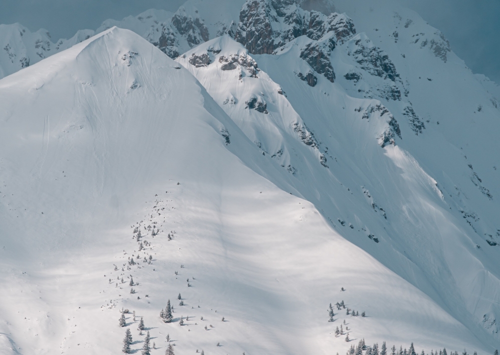 تواصل البحث عن المفقودين.. مقتل متزلجين جراء انهيار جليدي في إيطاليا 65 تواصل-البحث-عن-المفقودين.-مقتل-متزلجين-جراء-انهيار-جليدي-في-إيطاليا