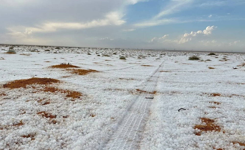 في مشهد جذاب.. سهول الجوف تكتسي بالأبيض عقب هطول زخات البرد 10 في-مشهد-جذاب.-سهول-الجوف-تكتسي-بالأبيض-عقب-هطول-زخات-البرد