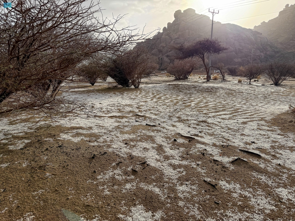 الطقس في السعودية.. هطول أمطار غزيرة على منطقة نجران 34 الطقس-في-السعودية.-هطول-أمطار-غزيرة-على-منطقة-نجران