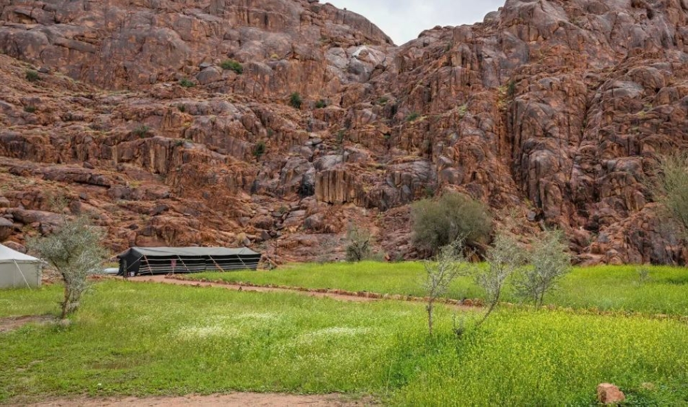 الطلعات البرية بحائل.. إقبال على المخيمات في أجواء ربيعية مميزة 10 الطلعات-البرية-بحائل.-إقبال-على-المخيمات-في-أجواء-ربيعية-مميزة