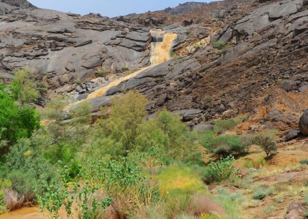 هطول أمطار في 6 مناطق.. ومحافظة ثار بنجران تسجّل أعلى كمية 7 هطول-أمطار-في-6-مناطق.-ومحافظة-ثار-بنجران-تسجّل-أعلى-كمية