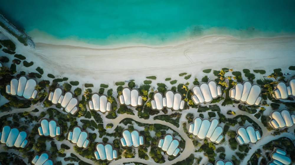 بعد العيد.. البحر الأحمر يرسّخ مكانته كوجهة مفضلة لعشّاق الطبيعة والرفاهية 24 بعد-العيد.-البحر-الأحمر-يرسّخ-مكانته-كوجهة-مفضلة-لعشّاق-الطبيعة-والرفاهية