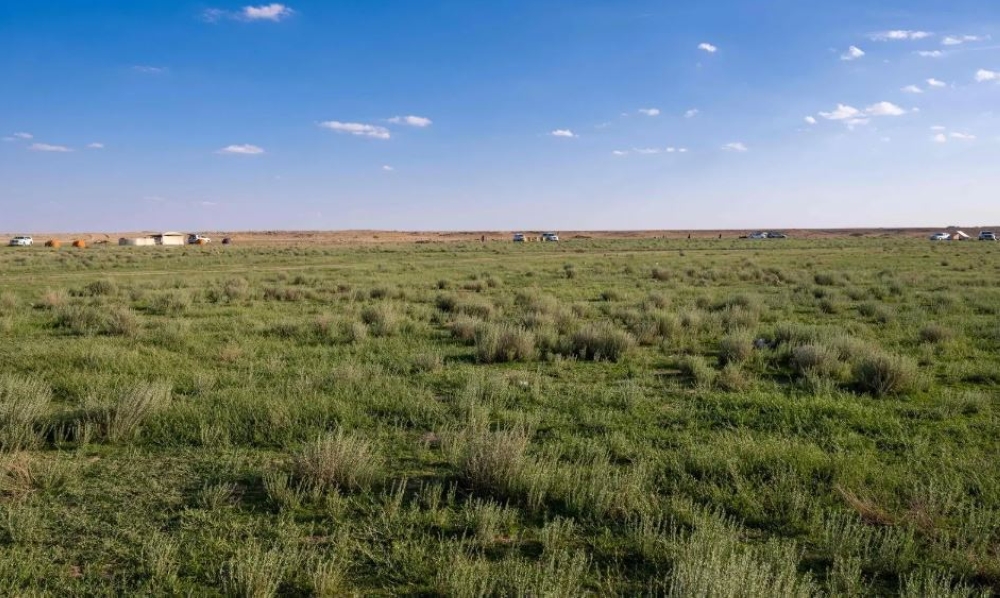 فياض"زبالا الأثرية".. لوحة فنية ترسمها الأمطار وتنعشها الطلعات البرية 23 فياض”زبالا-الأثرية”.-لوحة-فنية-ترسمها-الأمطار-وتنعشها-الطلعات-البرية