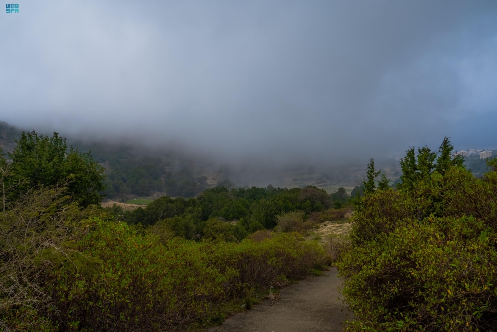 لوحة طبيعية مميزة.. أجواء ضبابية كثيفة تزين جبال الباحة 20 لوحة-طبيعية-مميزة.-أجواء-ضبابية-كثيفة-تزين-جبال-الباحة