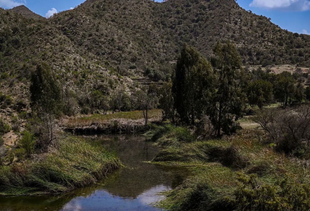 الباحة.. الأمطار تُكسي وادي ضرك حلة ربيعية زاهية 20 الباحة.-الأمطار-تُكسي-وادي-ضرك-حلة-ربيعية-زاهية
