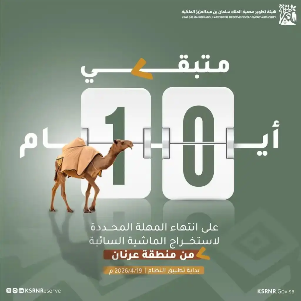 محمية الملك سلمان تمنح ملاك المواشي السائبة في "عرنان" مهلة 10 أيام لإخراجها 1 محمية-الملك-سلمان-تمنح-ملاك-المواشي-السائبة-في-“عرنان”-مهلة-10-أيام-لإخراجها