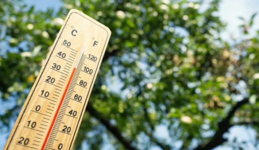 الدمام 29 مئوية.. بيان درجات الحرارة العظمى على بعض مدن المملكة 55 الدمام-29-مئوية.-بيان-درجات-الحرارة-العظمى-على-بعض-مدن-المملكة