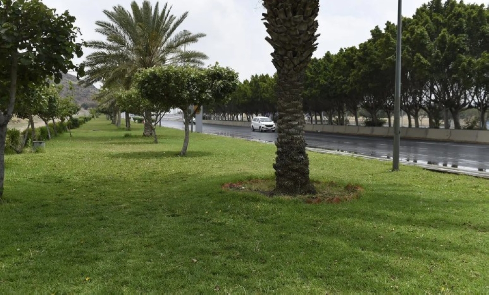 بالصور.. هطول أمطار على الرياض والطائف 8 بالصور.-هطول-أمطار-على-الرياض-والطائف