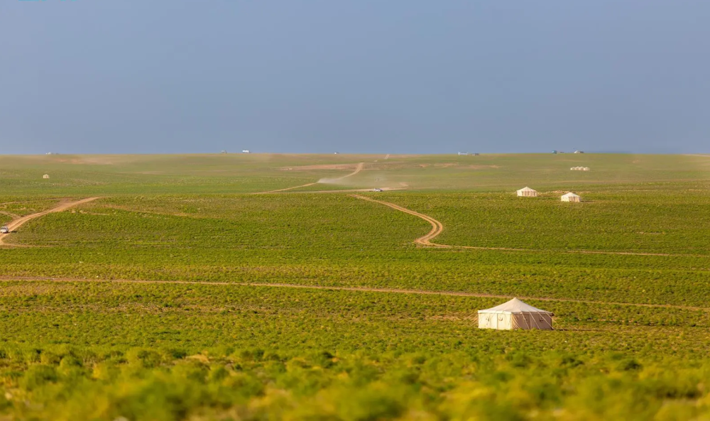 تنوّع بيئي وثروة حيوانية يعزّزان الحراك السياحي في الحدود الشمالية 18 تنوّع-بيئي-وثروة-حيوانية-يعزّزان-الحراك-السياحي-في-الحدود-الشمالية