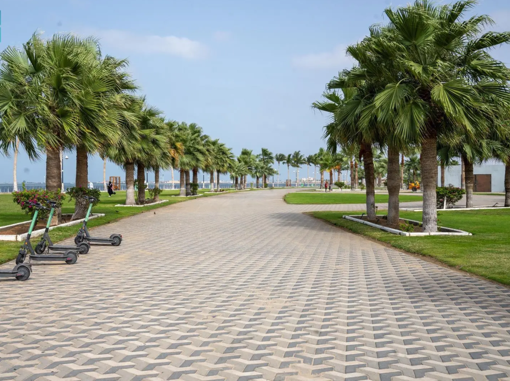 واجهة المانجروف في جيزان.. أيقونة ساحلية جديدة تُعزِّز جاذبية جازان السياحية 11 واجهة-المانجروف-في-جيزان.-أيقونة-ساحلية-جديدة-تُعزِّز-جاذبية-جازان-السياحية