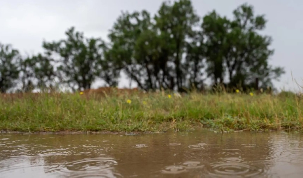 شاهد بالصور.. الأمطار تنعش الحركة السياحية في الأسياح بالقصيم 11 شاهد-بالصور.-الأمطار-تنعش-الحركة-السياحية-في-الأسياح-بالقصيم