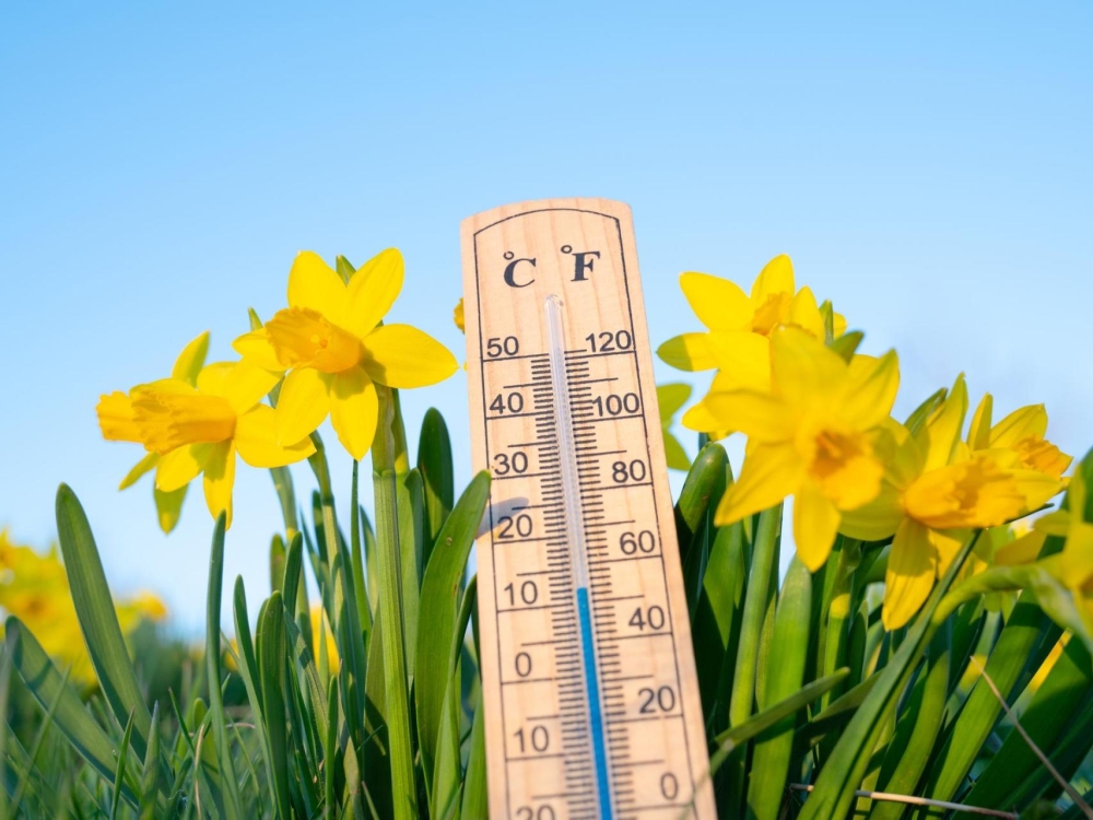 الدمام 30 مئوية.. بيان درجات الحرارة العظمى على بعض مدن المملكة 7 الدمام-30-مئوية.-بيان-درجات-الحرارة-العظمى-على-بعض-مدن-المملكة