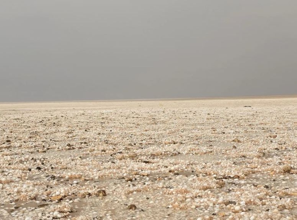 مصحوبة بالبرد.. هطول أمطار غزيرة شرق محافظة طريف 35 مصحوبة-بالبرد.-هطول-أمطار-غزيرة-شرق-محافظة-طريف