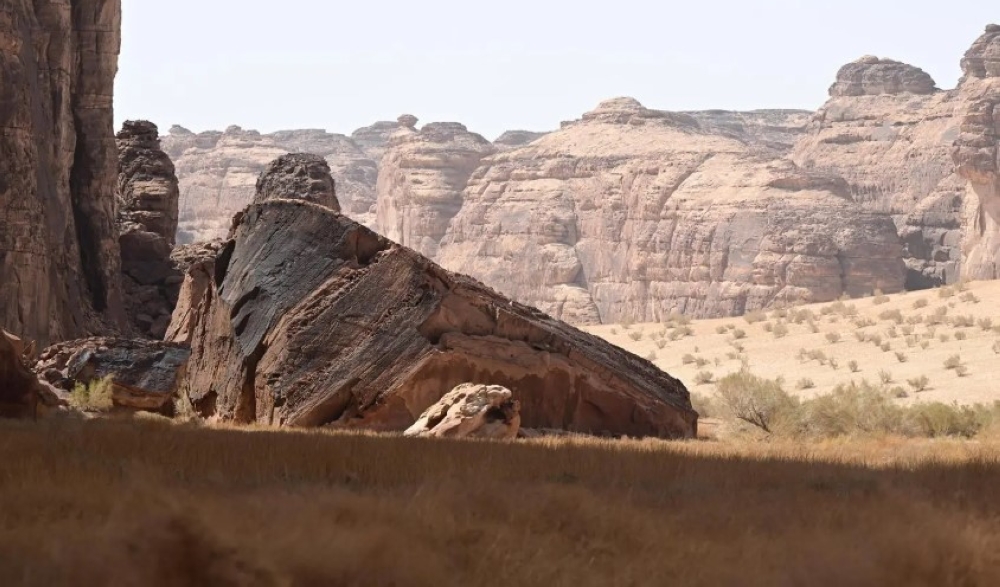 صور | محمية شرعان في العُلا.. نموذج عالمي لإدارة البيئات الصحراوية 17 صور-|-محمية-شرعان-في-العُلا.-نموذج-عالمي-لإدارة-البيئات-الصحراوية