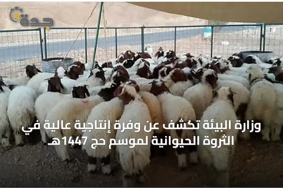 وزارة البيئة تكشف عن وفرة إنتاجية عالية في الثروة الحيوانية لموسم حج 1447هـ
