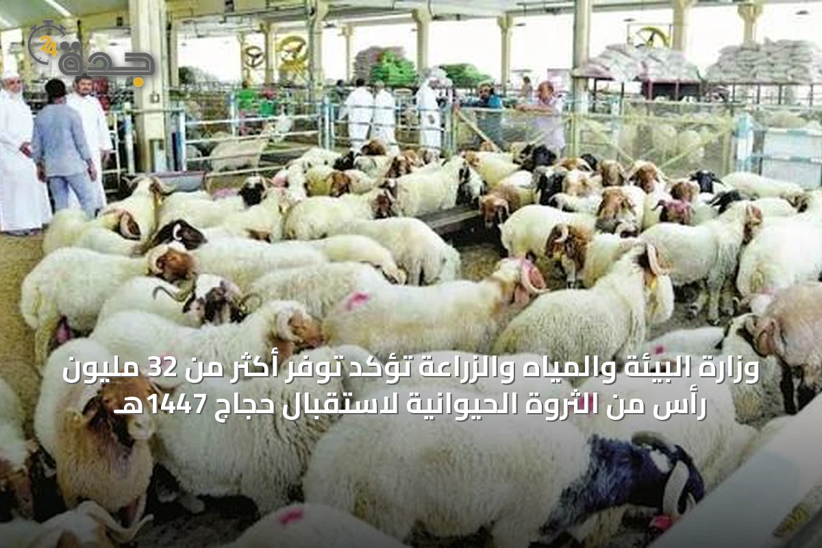 وزارة البيئة والمياه والزراعة تؤكد توفر أكثر من 32 مليون رأس من الثروة الحيوانية لاستقبال حجاج 1447هـ