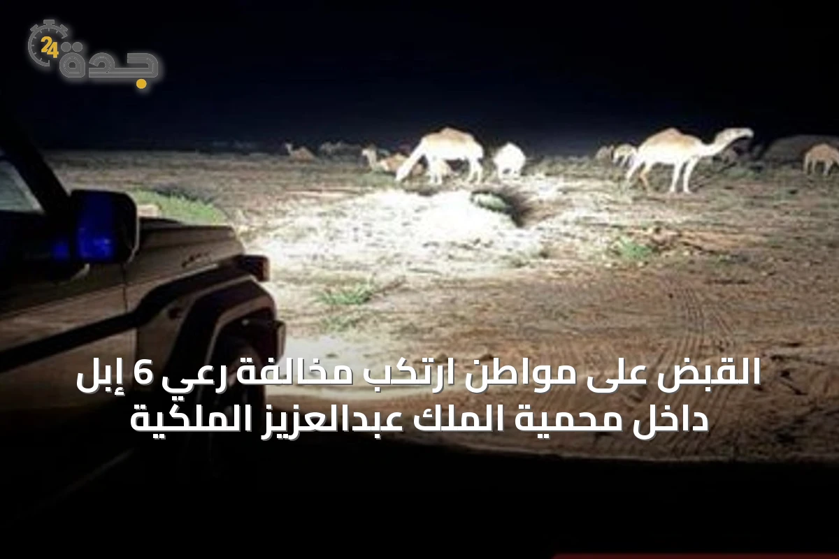 القبض على مواطن ارتكب مخالفة رعي 6 إبل داخل محمية الملك عبدالعزيز الملكية